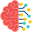 brain actions